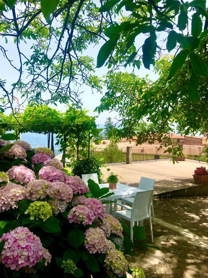 Il Ciliegio Villa Stella Cilento Luaran gambar