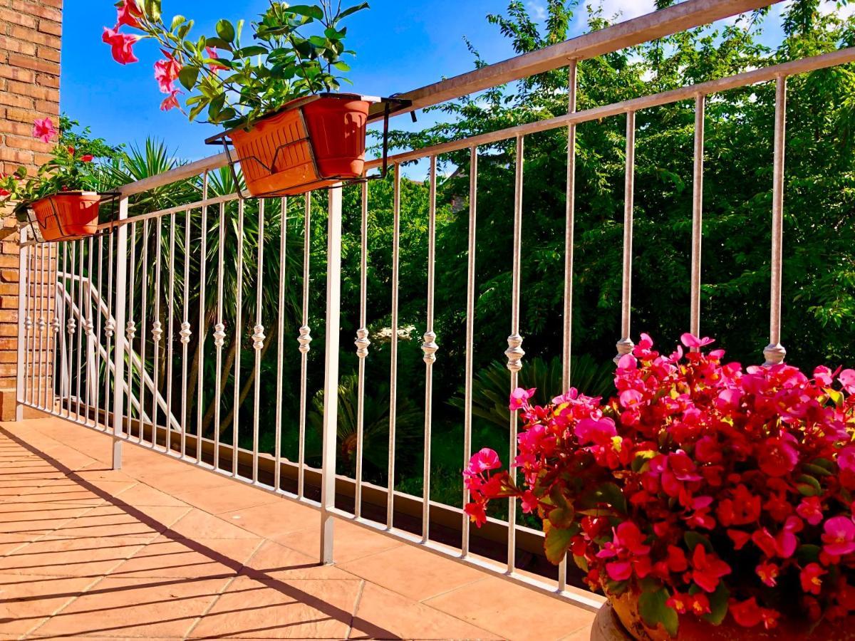Il Ciliegio Villa Stella Cilento Luaran gambar
