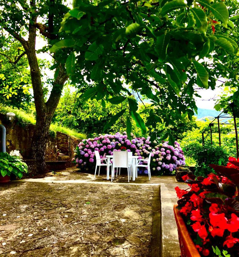 Il Ciliegio Villa Stella Cilento Luaran gambar